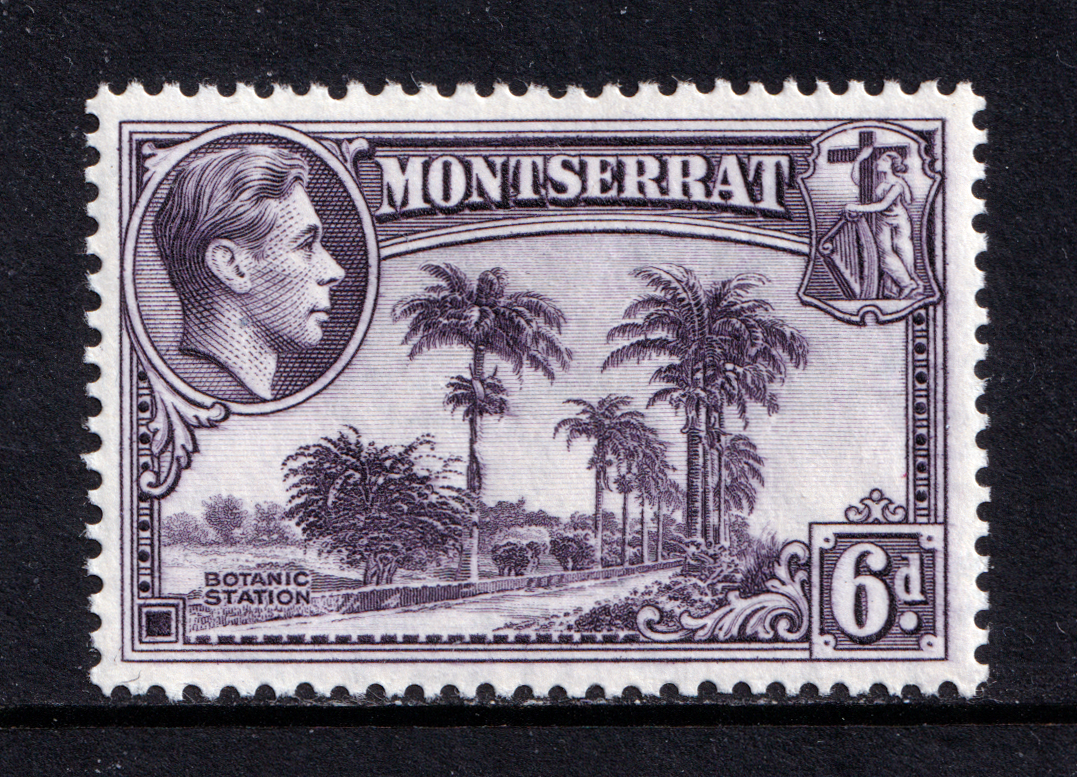 Montserrat KGVI 1938-48 6d Violet Botanic Station P13 SG107 Mint MH