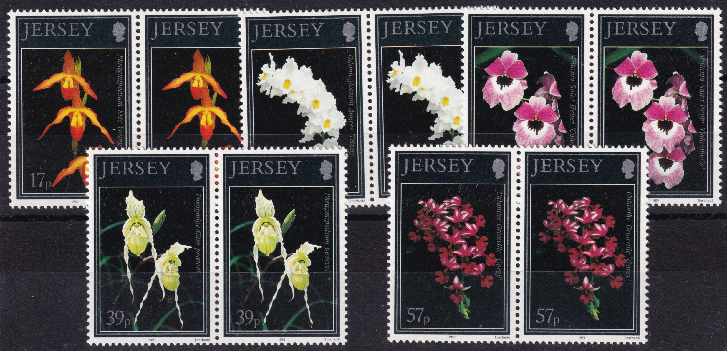 Great Britain QEII 1993 Jersey Orchids Full Set in Pairs SG613/617 Mint MNH