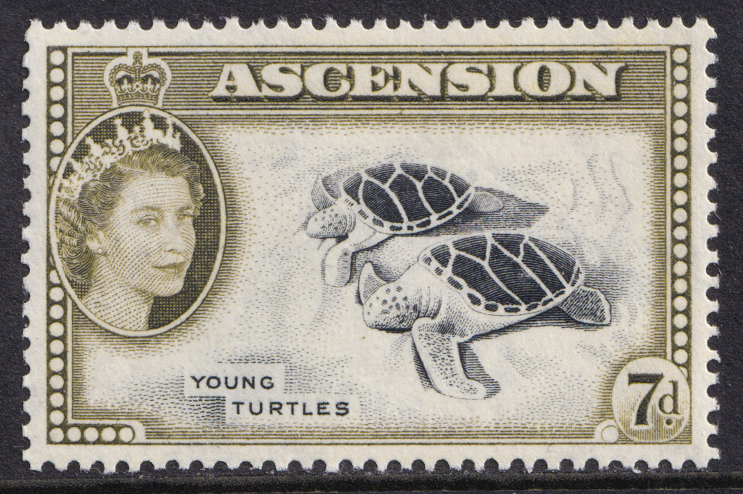 Ascension Island QEII 1956 7d Black Deep Olive Turtles SG65 Mint MNH