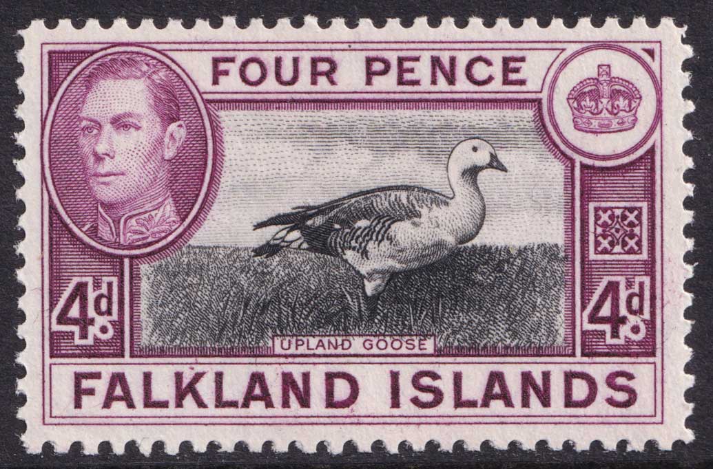 Falkland Islands KGVI 1938-50 4d Black Purple Goose SG154 Mint MLH