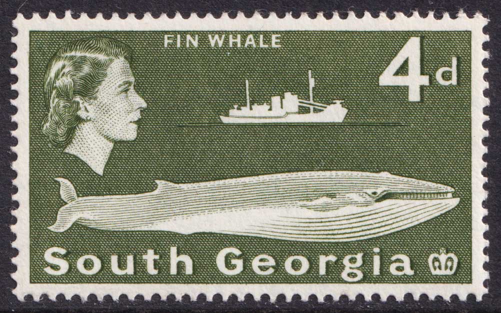 South Georgia QEII 1963-69 4d Bronze-Green Fin Whale SG6 Mint MH