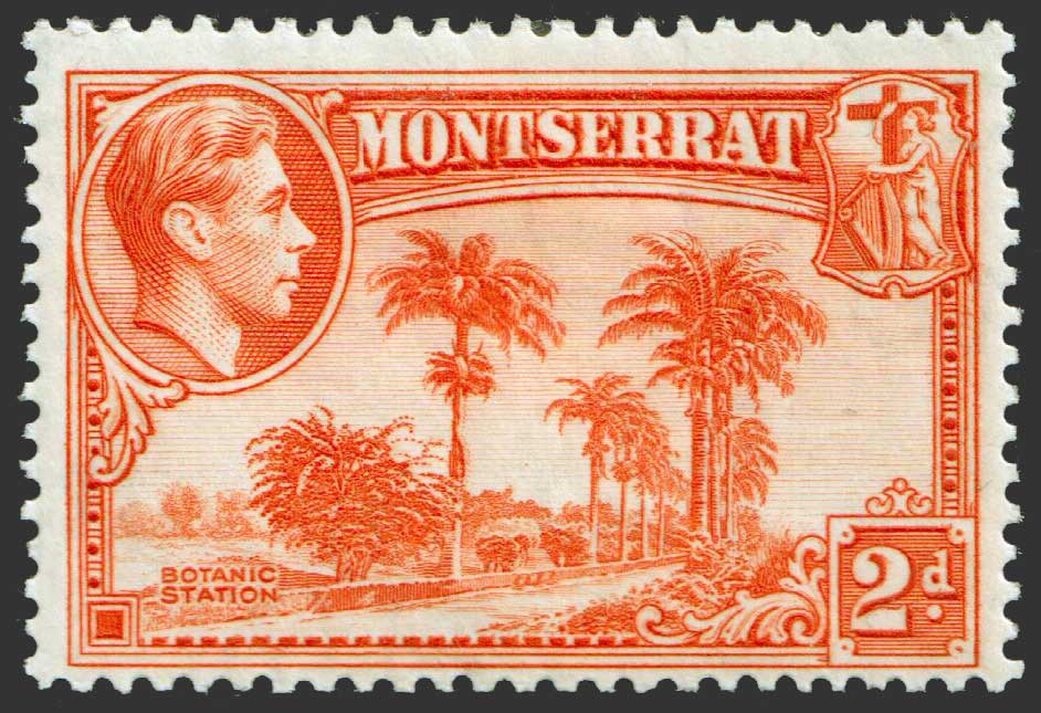 Montserrat KGVI 1938-48 2d Orange P13 SG104 Mint MH